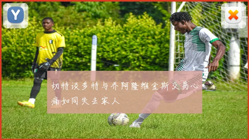 切特谈多特与乔阿隆维金斯交易心痛如同失去家人