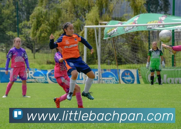 APP界面展示